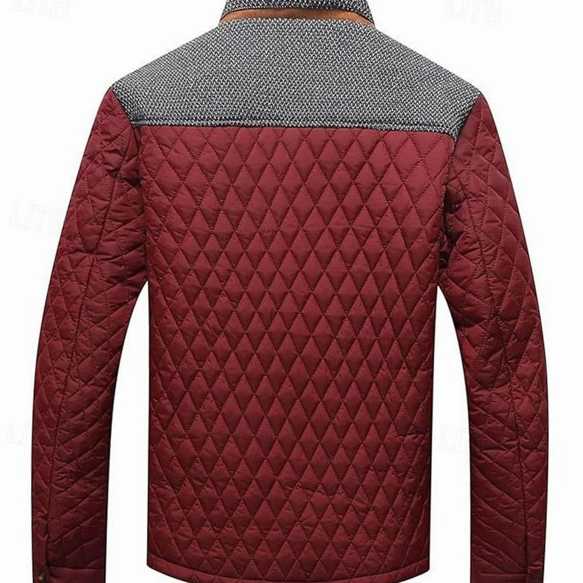 Jackson | Men's quilted jacket with high collar and buttons